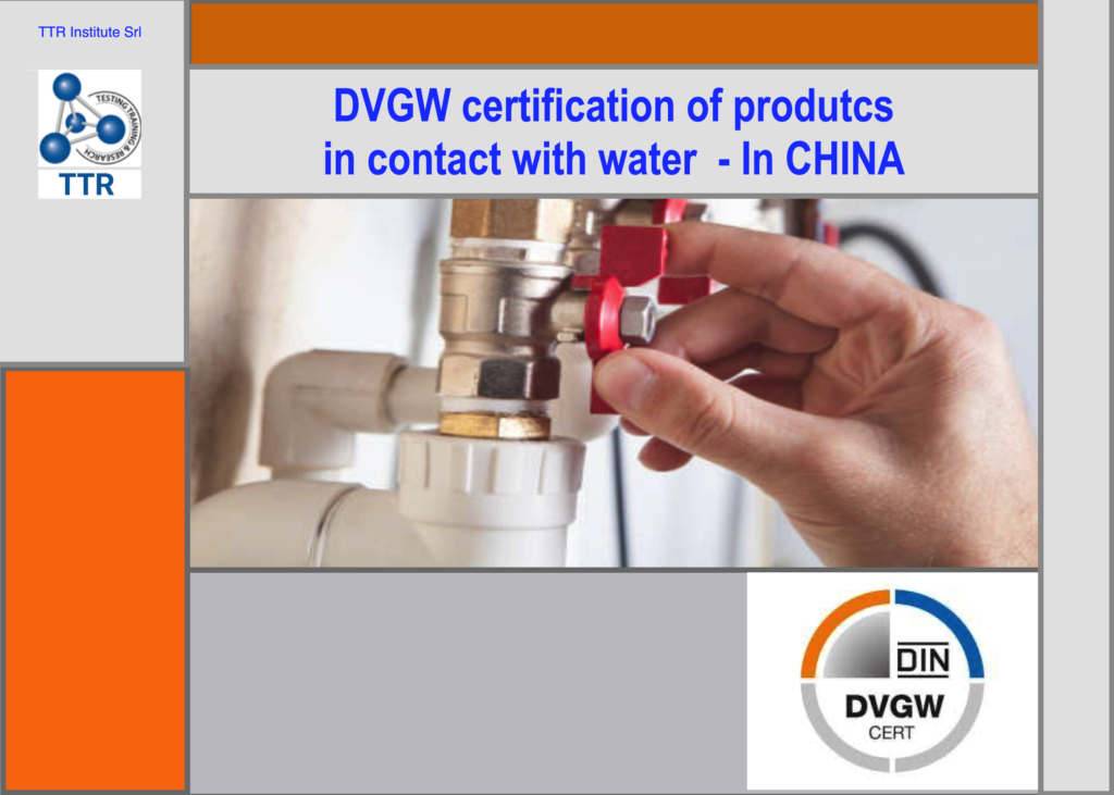 DVGW inspection in China